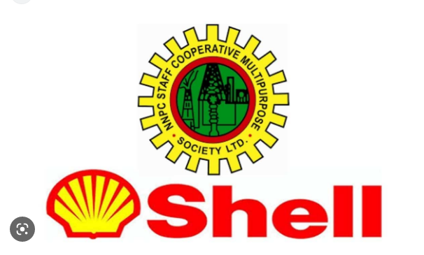 Shell Undergraduate Scholarship